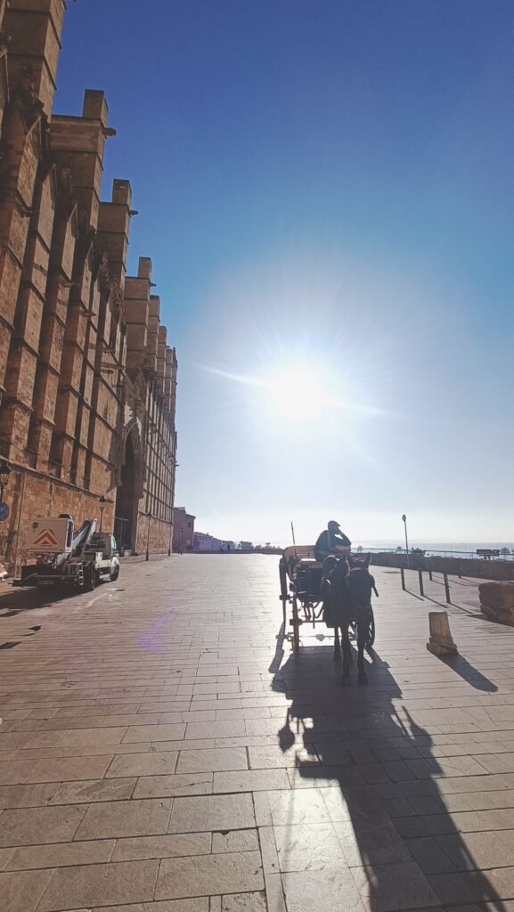 Fototour Teilnehmerzahl min.2 Pax max. 15 Pax Montag, Dienstag, Mittwoch, Donnerstag, Freitag 4 Std 09:30-13:30 Kunst, Kultur, Erlebnisgastronomie, Geschichte, Abenteuer, Shopping uvm. Info & Reservierung , Anruf / WhatsApp 0034642430089