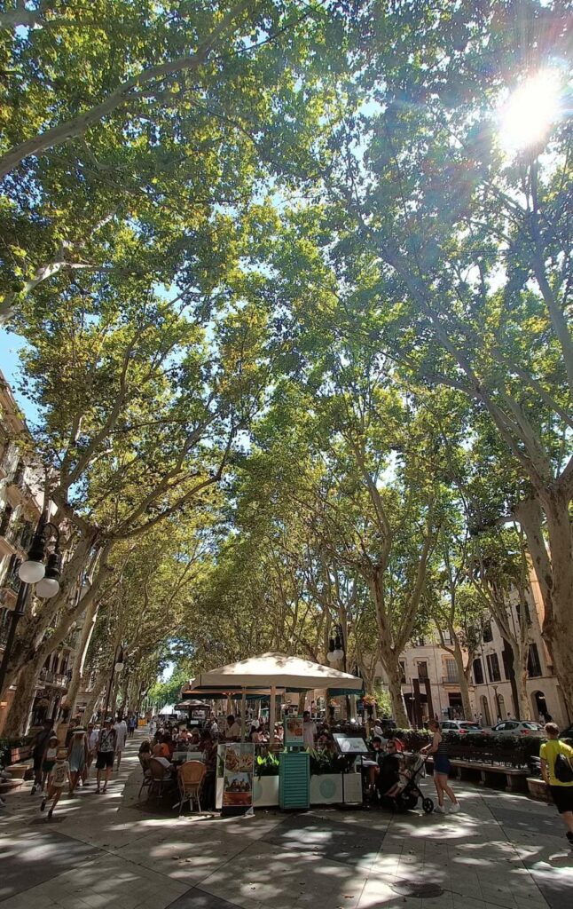 Fototour Teilnehmerzahl min.2 Pax max. 15 Pax Montag, Dienstag, Mittwoch, Donnerstag, Freitag 4 Std 09:30-13:30 Kunst, Kultur, Erlebnisgastronomie, Geschichte, Abenteuer, Shopping uvm. Info & Reservierung , Anruf / WhatsApp 0034642430089