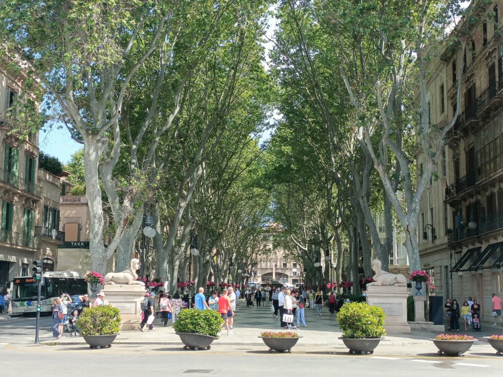 ⚡Ab Mai 2026 🧭Auf den Spuren der Piraten Mallorcas 🏴☠️ Fototour Altstadt Palma.✨ Ideal für Gäste, die die Atmosphäre der Altstadt intensiv erleben möchten.