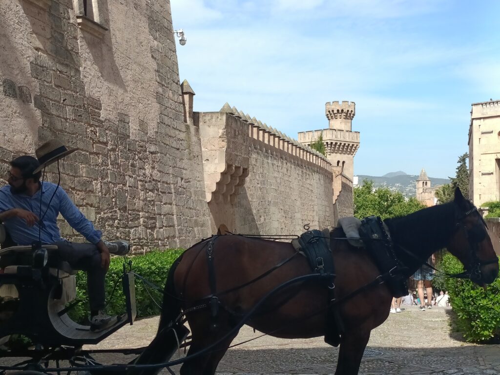 ⚡Ab Mai 2026 🧭Auf den Spuren der Piraten Mallorcas 🏴☠️ Fototour Altstadt Palma.✨ Ideal für Gäste, die die Atmosphäre der Altstadt intensiv erleben möchten.