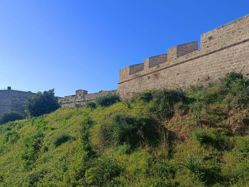 Fototour Tag - Exklusiv jeden Samstag & Sonntag 09:30-13:30 Alte Festung zum Schutz vor Piraten inkl. Foto-Tour in Palma Info & Reservierung, Anruf/WhatsApp 0034642430089